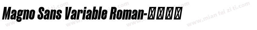 Magno Sans Variable Roman字体转换